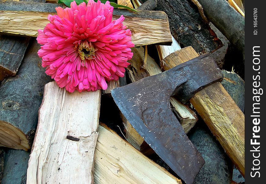 Chopped with an ax wood for heating in winter. Chopped with an ax wood for heating in winter.