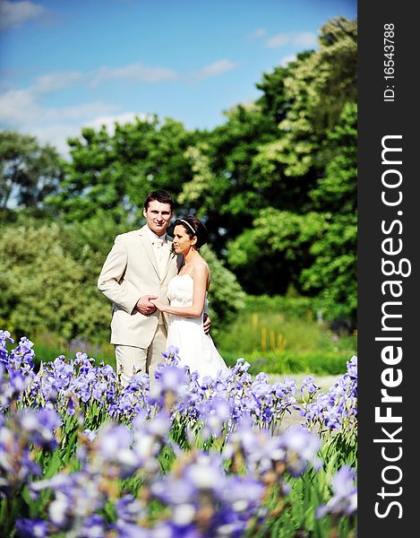 Groom and bride in white dress on background of green trees. Groom and bride in white dress on background of green trees