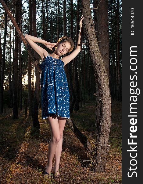 Young woman in a blue short dress at sunset in a pine forest. Young woman in a blue short dress at sunset in a pine forest