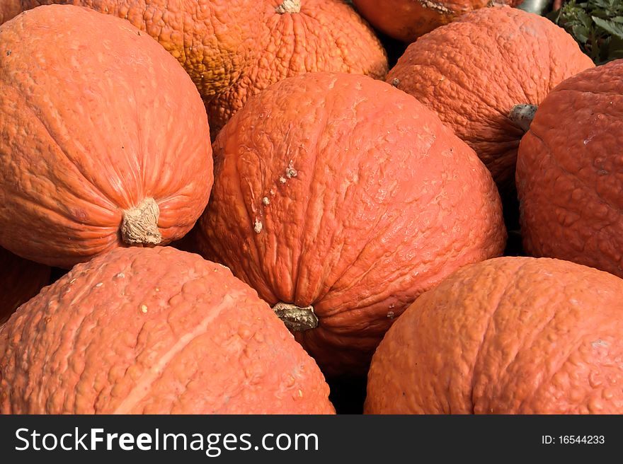 Bumpy Pumpkins