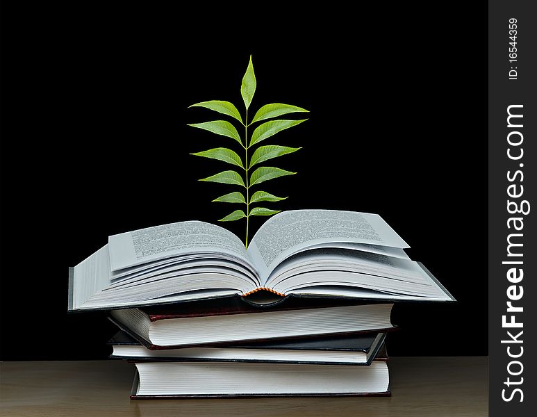 Tree growing from open book. Tree growing from open book