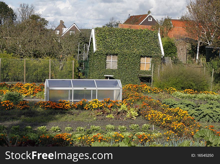 An overgrown little barn in a typical Dutch landscape. An overgrown little barn in a typical Dutch landscape