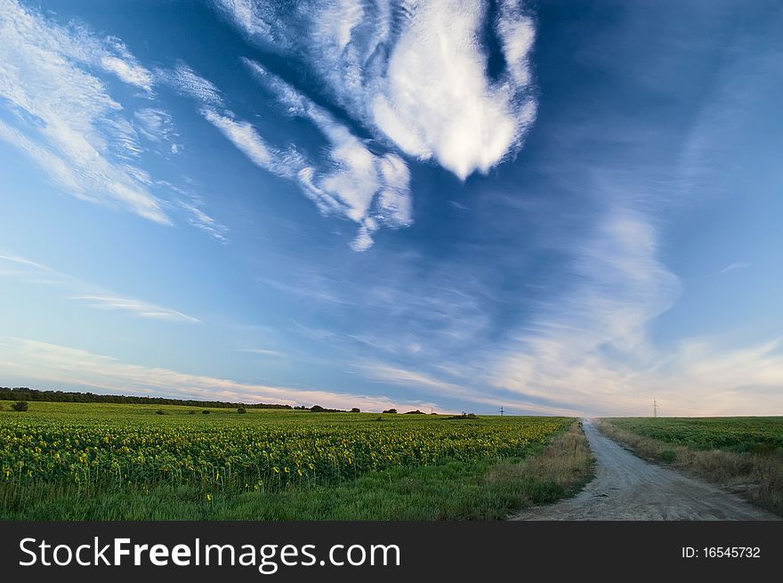 Rural road in the evening and a blue sky with clouds. Rural road in the evening and a blue sky with clouds