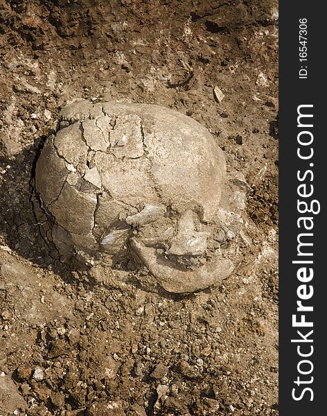 Grave of human skeleton