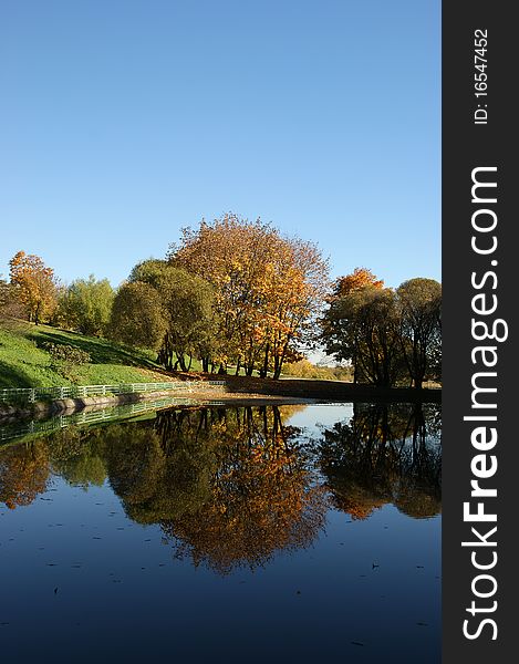 Fall in the forest. Reflection of autumn trees in the pond