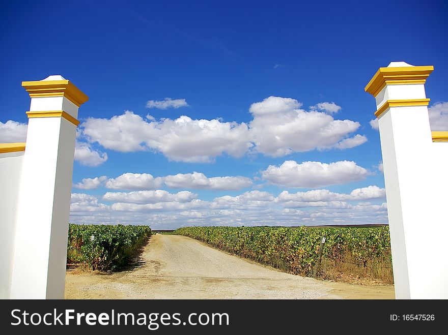 Entrance of vineyard and clouds in sky. Entrance of vineyard and clouds in sky.