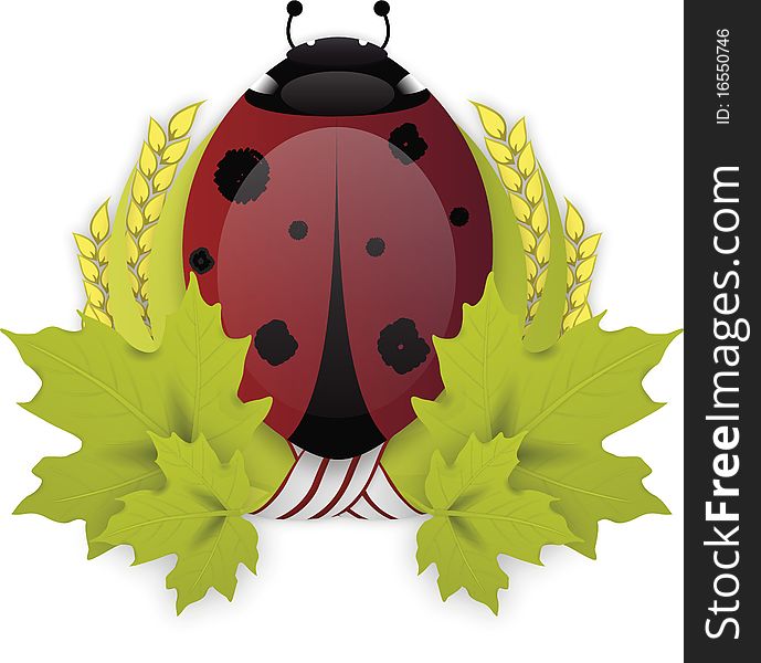 Illustrated vector Ladybird bug on green laurel wreath isolated on white background with shadows. Illustrated vector Ladybird bug on green laurel wreath isolated on white background with shadows