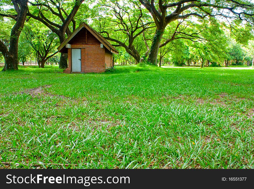 Hut On Green Grass