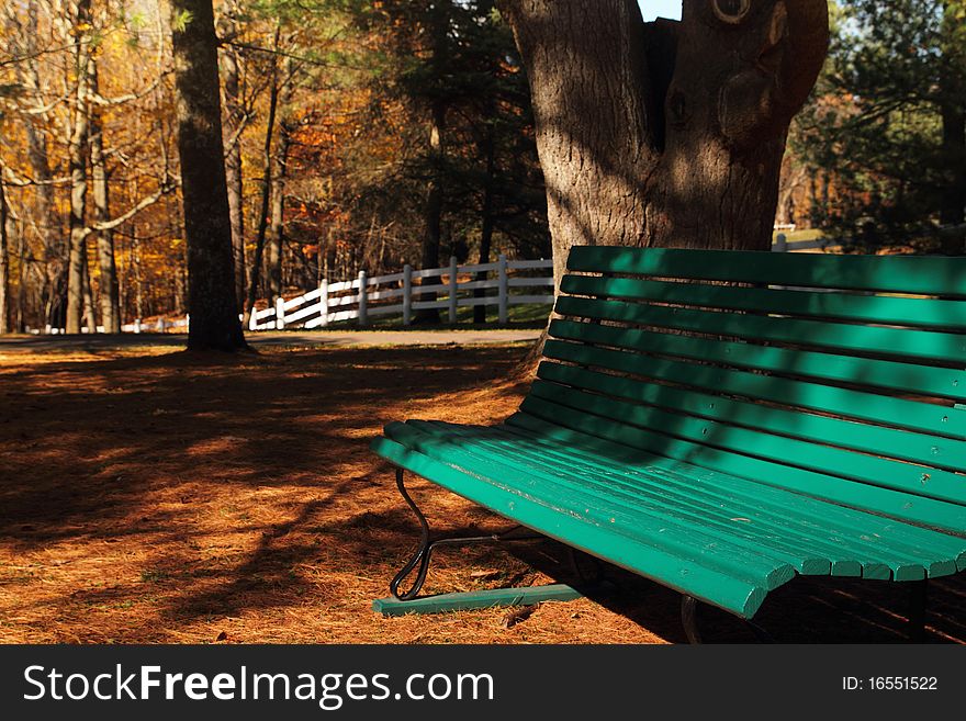 A view of a park bench in autumn setting