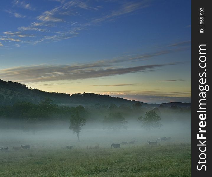 Rural Landscape With Foggy Scene