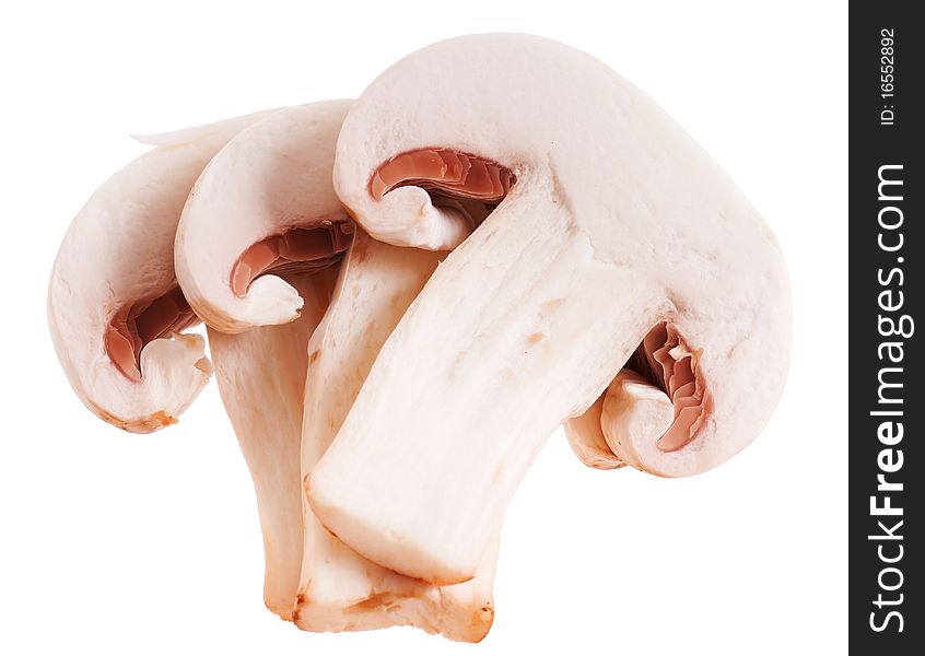 Fresh mushrooms champignons isolated on white background