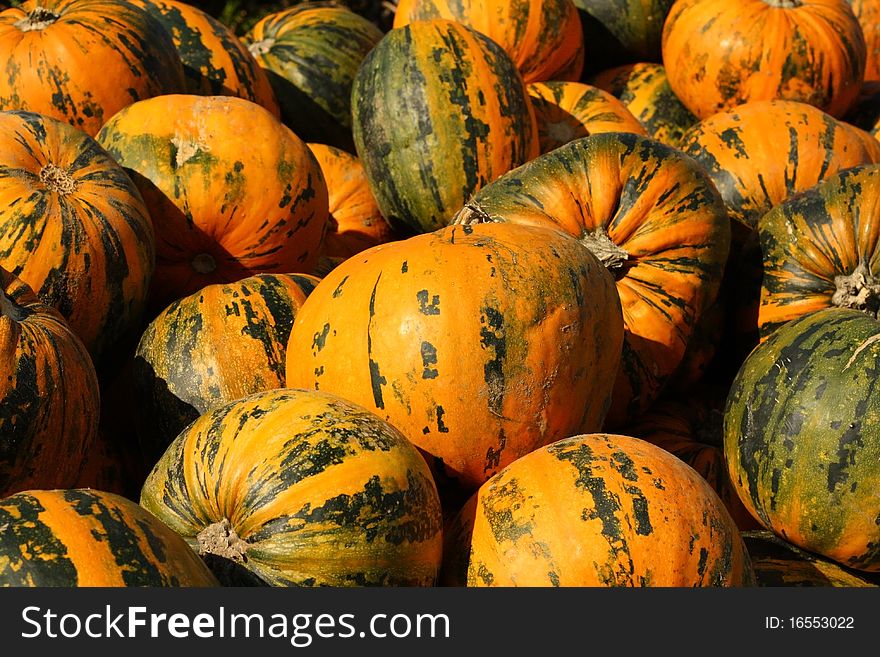 Various green and orange pumpkins in pile