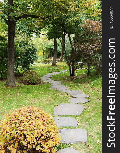 Path from stone in autumn park with green herb and tree