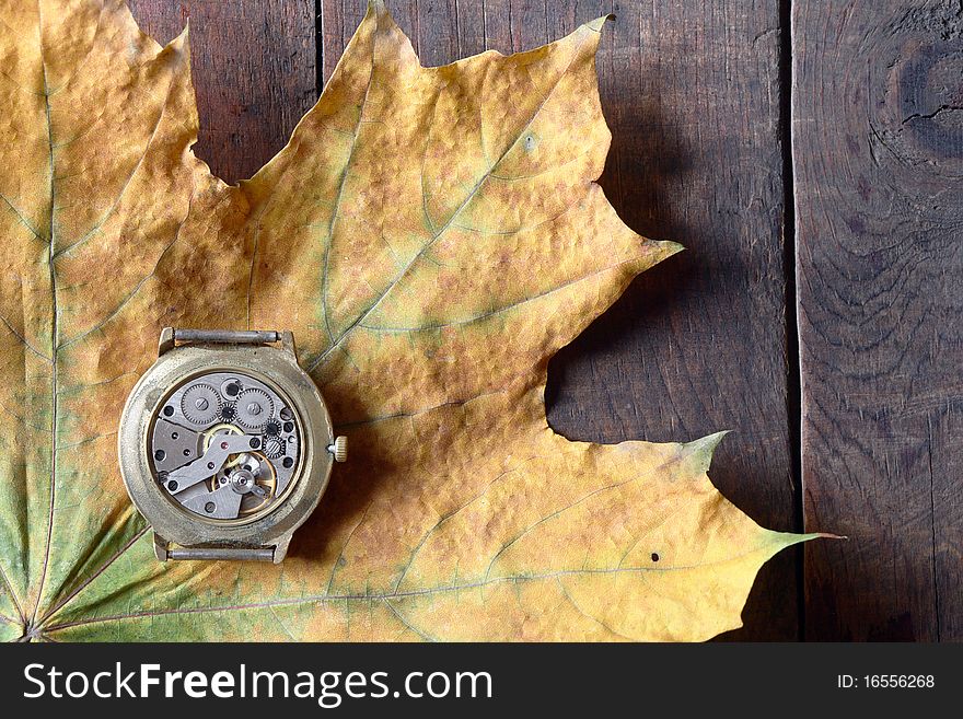 Old watch with open mechanism lying on dry maple leaf. Old watch with open mechanism lying on dry maple leaf