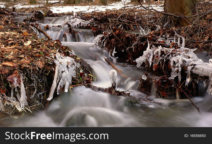 Cold forest stream with icing