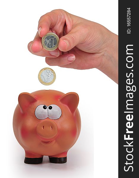 Picture of thrifty pig with hand and currencies. Picture of thrifty pig with hand and currencies