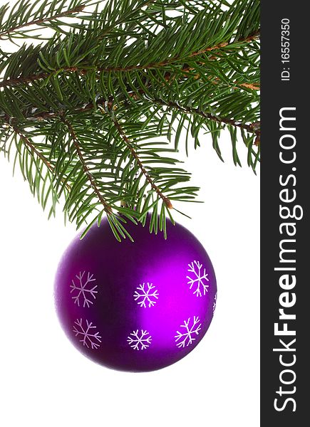 Purple Ball On Fir Tree Branch