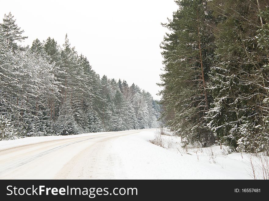 Winter country road in snow