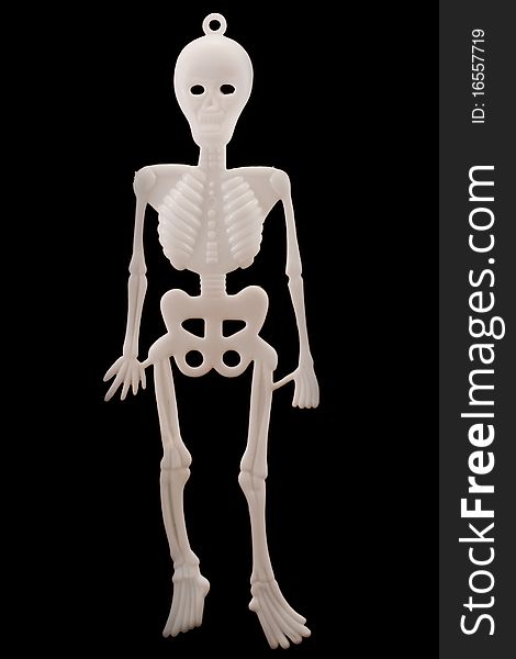 White plastic skeleton isolated over black. White plastic skeleton isolated over black