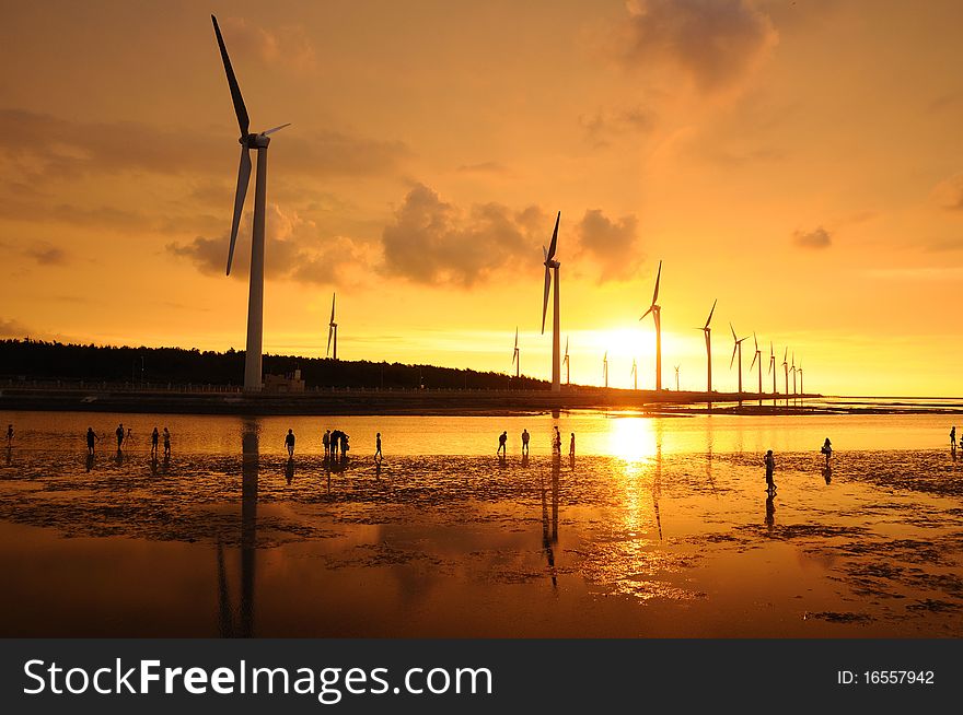 The beautiful sunset at the beach