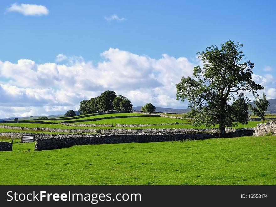 Summer fields & drystone walls near Shap