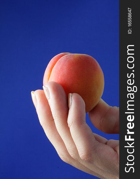 Apricot in a hand on blue background