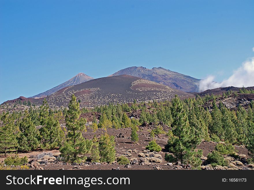 The famous teide of tenerife