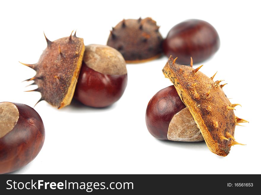 Chestnuts with shell on white background