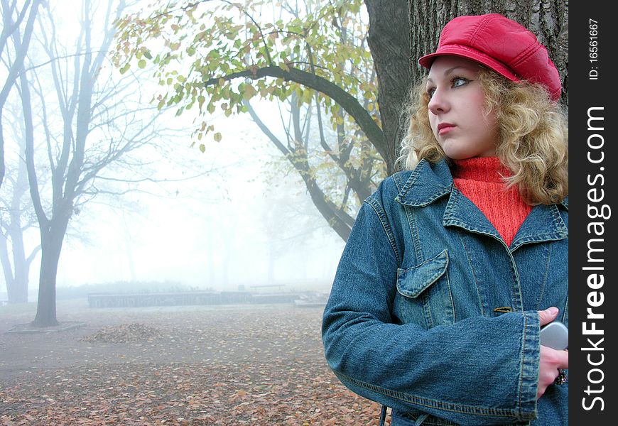 young woman in the autumn park. young woman in the autumn park