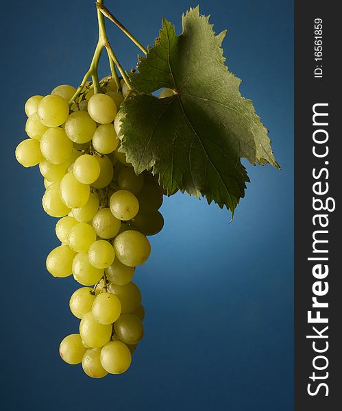 Bunch of grapes on background