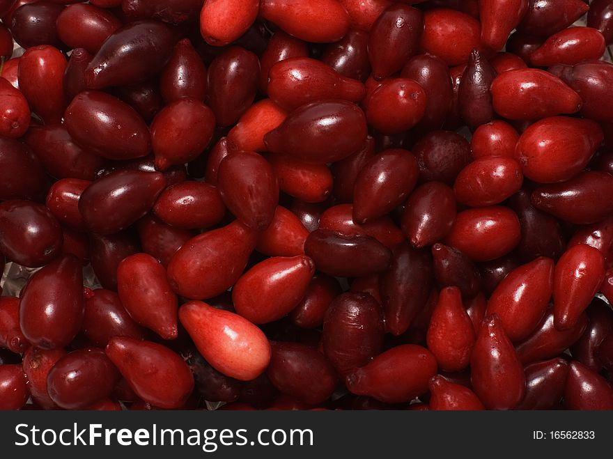 Red fresh berry of cornel