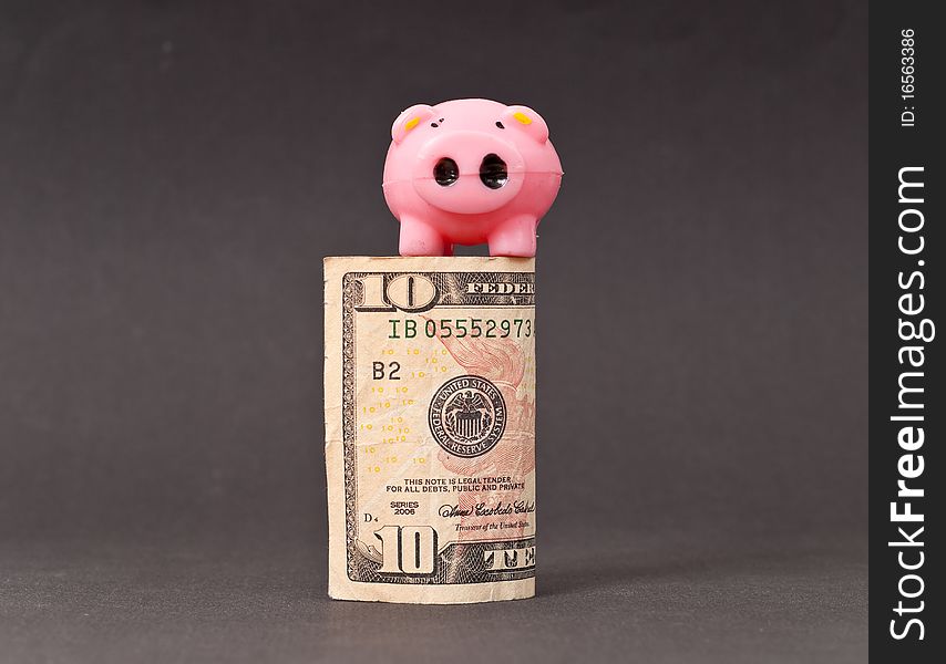 Little Pig on Ten Dollar Bill. Little Pig on Ten Dollar Bill