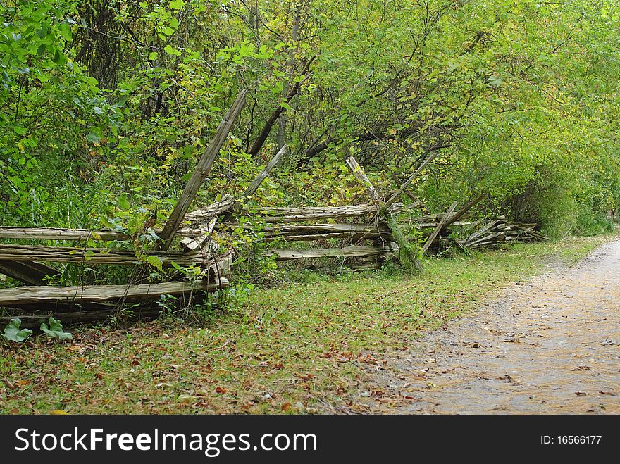 Old, overgrown split rail fence on country lane in early fall. Old, overgrown split rail fence on country lane in early fall