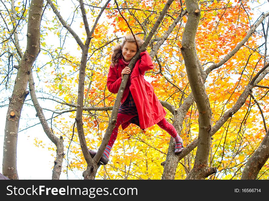 The cheerful girl on a tree. The cheerful girl on a tree