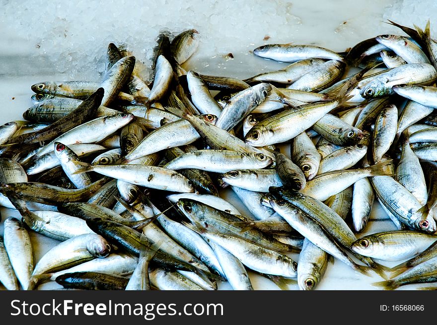 Fresh Fish In Market  .