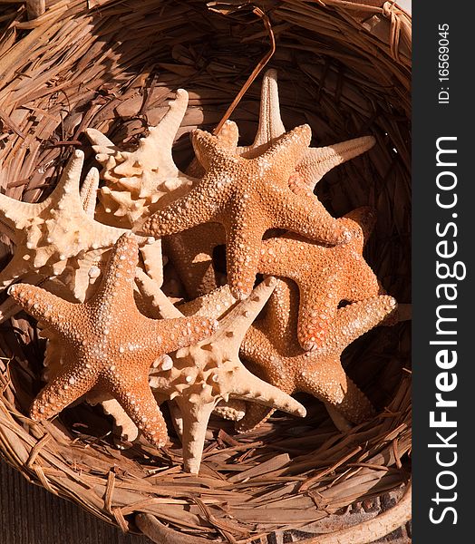 Basket with sea stars for sale. Basket with sea stars for sale.