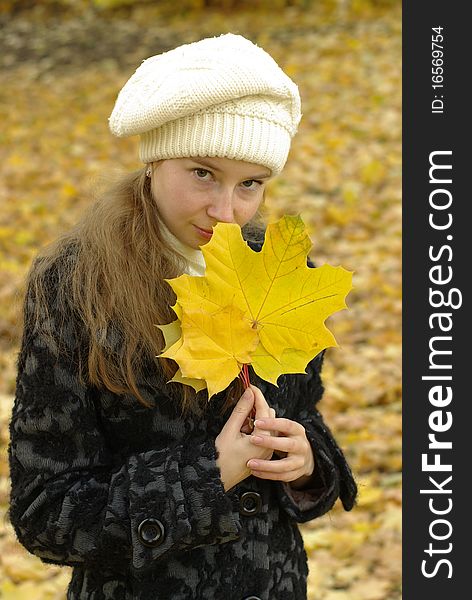 Girl holding yellow maple leaves. Girl holding yellow maple leaves