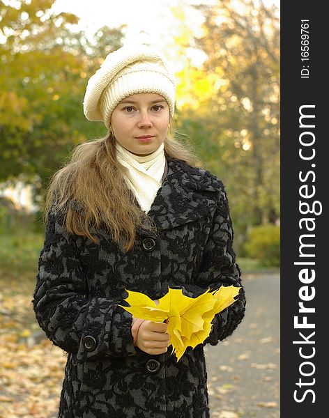 Girl holding yellow maple leaves. Girl holding yellow maple leaves