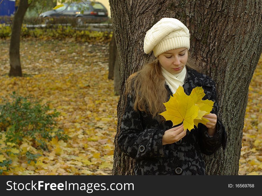 Girl holding yellow maple leaves. Girl holding yellow maple leaves