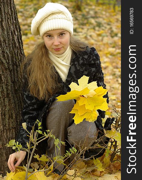 Girl holding yellow maple leaves. Girl holding yellow maple leaves