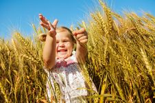 Laughing Kid In Sunny Wheat Field Royalty Free Stock Photos Laughing Kid In Sunny Wheat Field Royalty Free Stock Photos