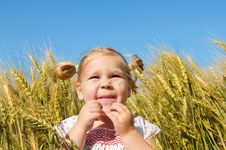 Laughing Kid In Sunny Wheat Field Stock Images Laughing Kid In Sunny Wheat Field Stock Images