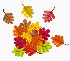 Fallen Leaves Royalty Free Stock Image