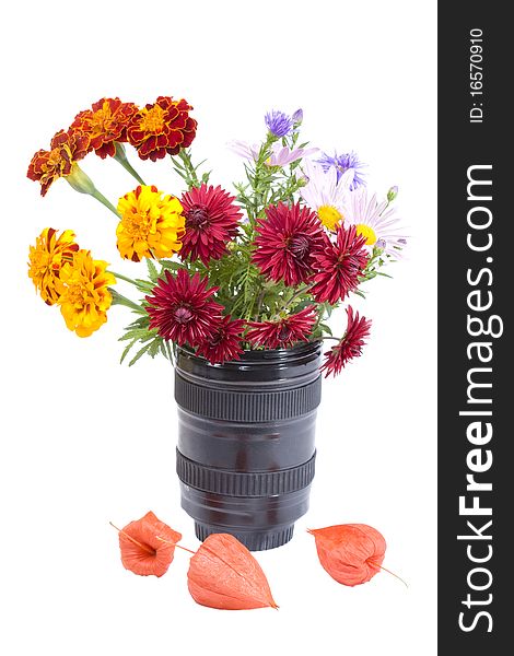 Bouquet of Flowers in the lens and physalis, isolated on a white background