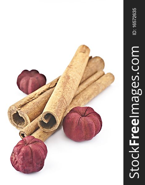 Cinnamon sticks with dried red ziediÅ†iemu on a white background. Cinnamon sticks with dried red ziediÅ†iemu on a white background.