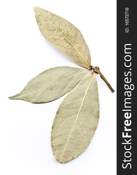 Three bay leaves on a white background.