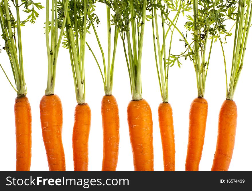 Carrots, completely isolated on white