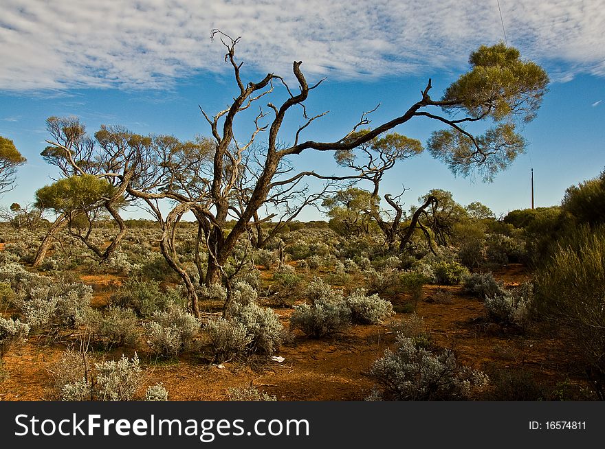 The australian landscape, south australia