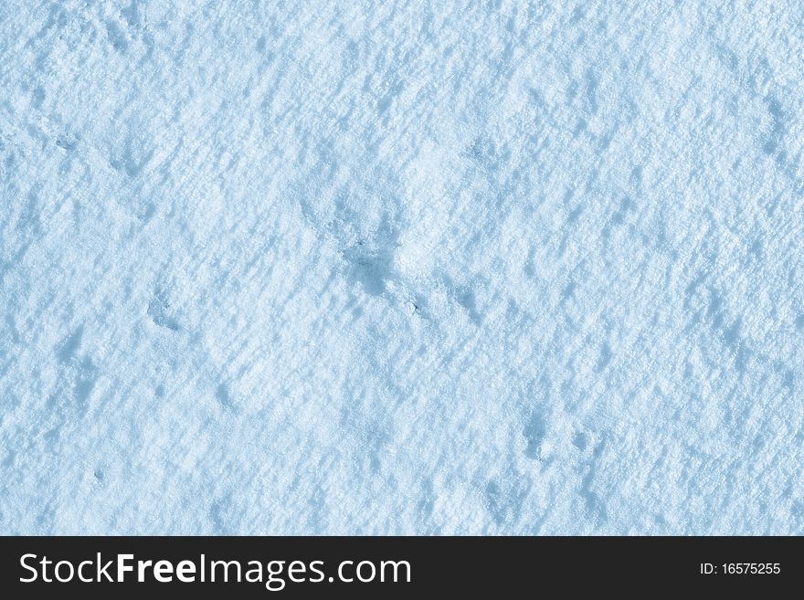 2140 Texture Of The Snow(0).jpg