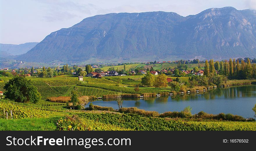 Savoyard vineyard during fall in france